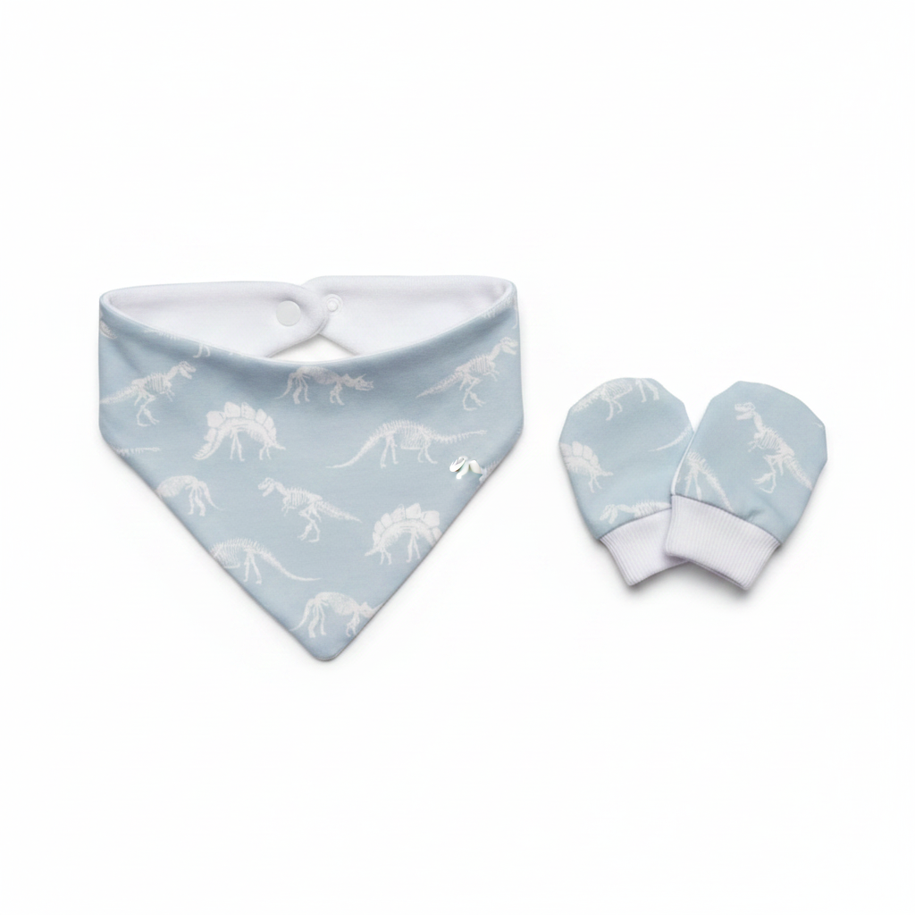Dinosaur Bandana Bib